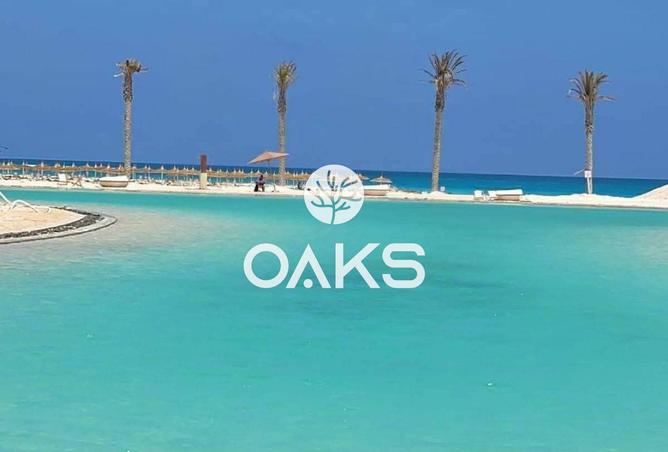 8324532 - Property Image 3