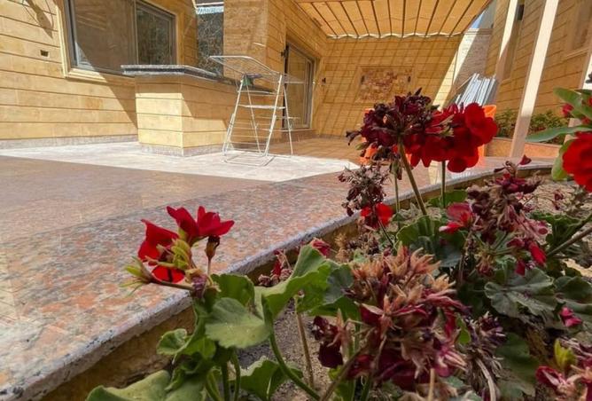 8223910 - صورة العقار 2