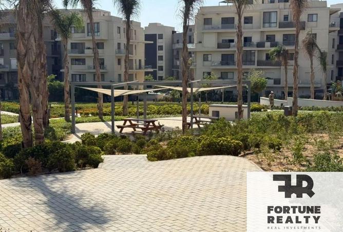 8464182 - Property Image 3