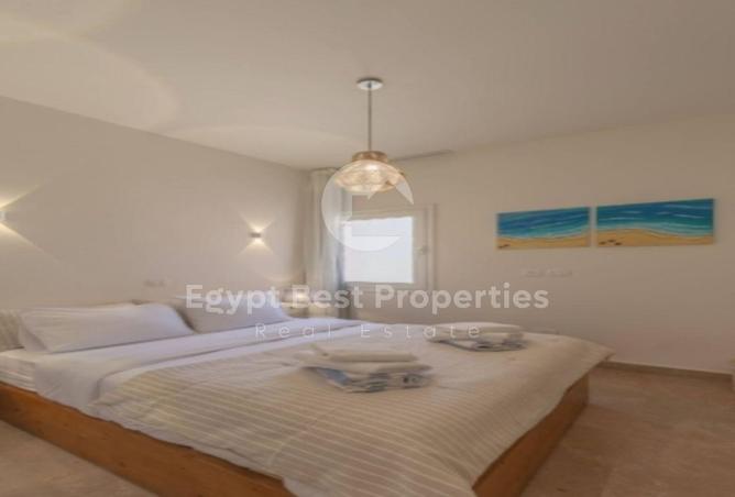 8036693 - Property Image 3