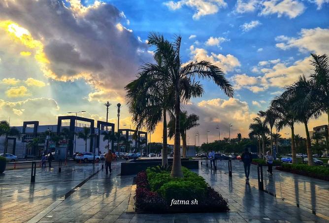 8429506 - صورة العقار 3