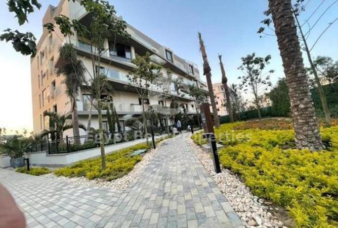 8239477 - Property Image 2