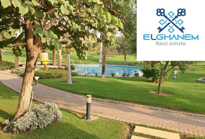 8224720 - صورة العقار 3