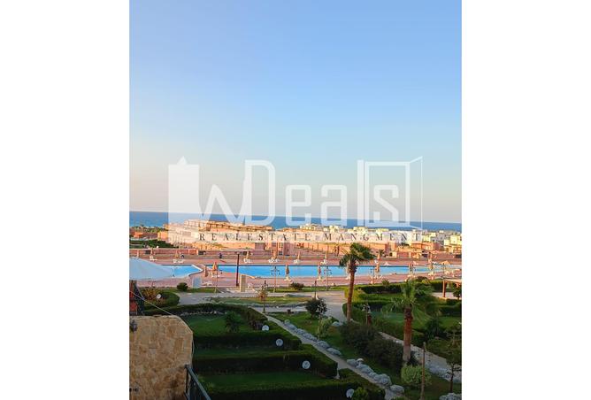 7992095 - Property Image 3