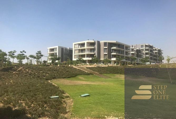 8323002 - صورة العقار 3