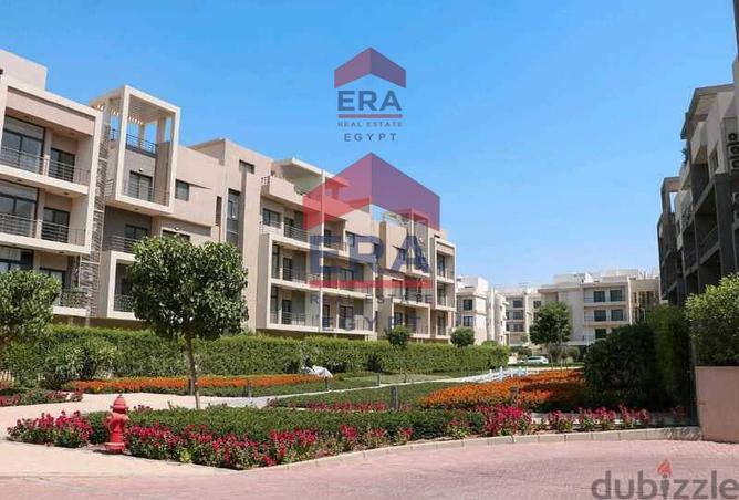 7000998 - Property Image 3