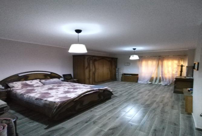 7977390 - Property Image 2