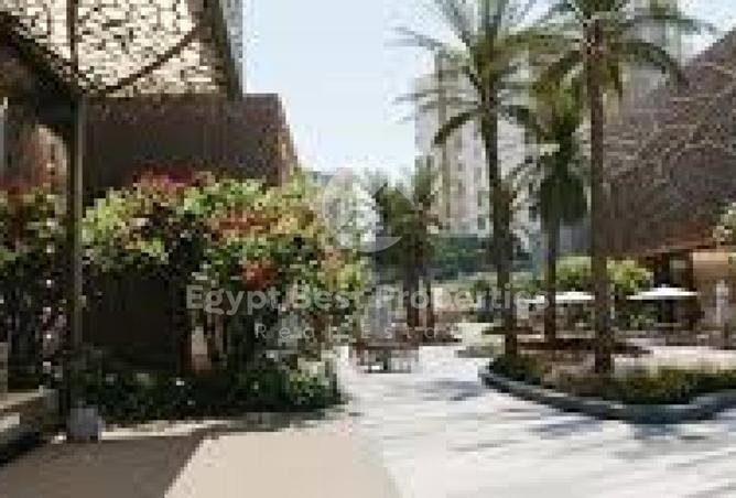 8209777 - صورة العقار 2