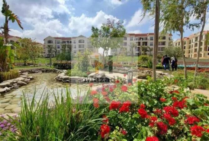 8325909 - Property Image 3