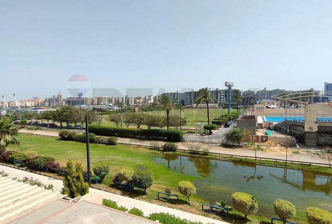 8456092 - الصورة الرئيسية للعقار