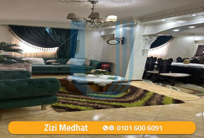 8156803 - Property Image 3