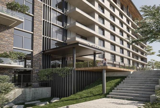 7980611 - Property Image 2