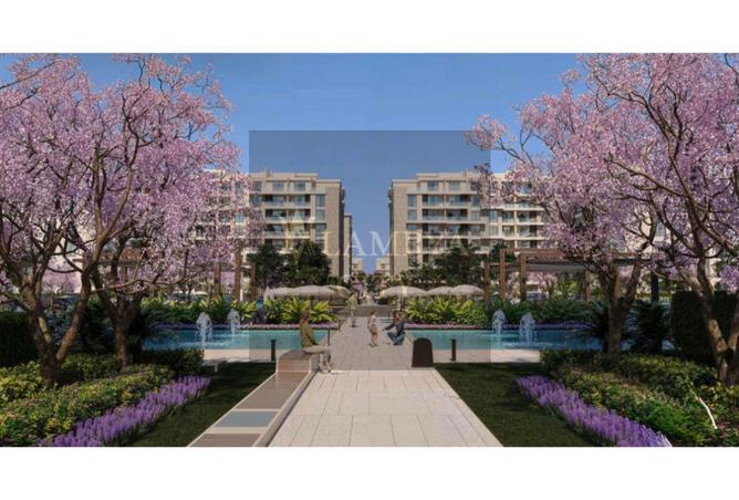 8439836 - Property Image 2