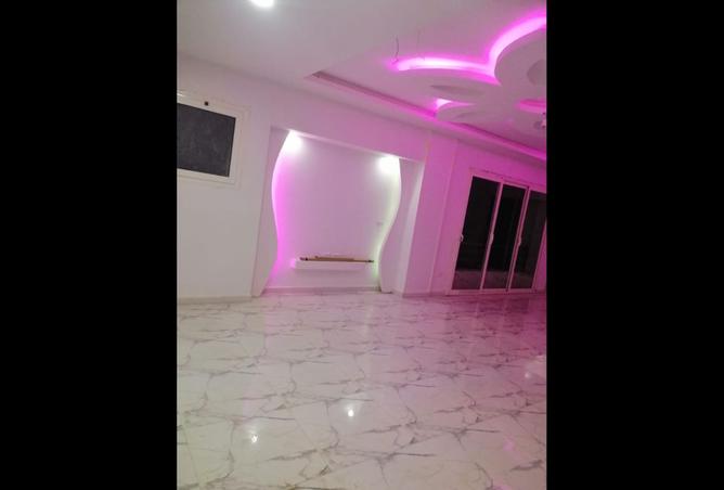 8197963 - Property Image 3