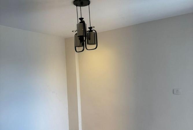 8217508 - Property Image 3