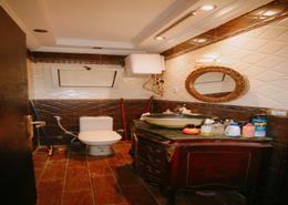 دوبلكس - 3 غرف نوم - 3 حمامات for للبيع in بالم سيتي - كمبوندات القطامية - القطامية - مدينة القاهرة الجديدة - القاهرة