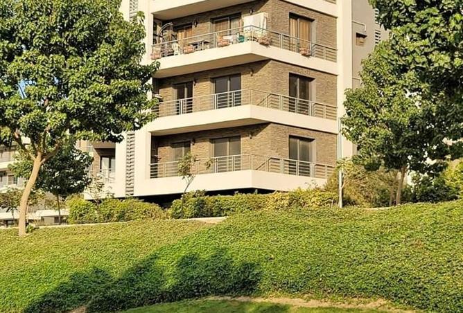 8037524 - Property Image 3