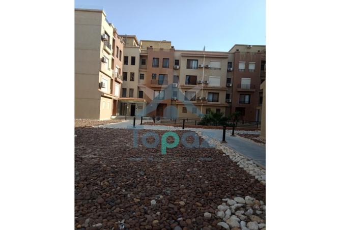 7980872 - Property Image 2