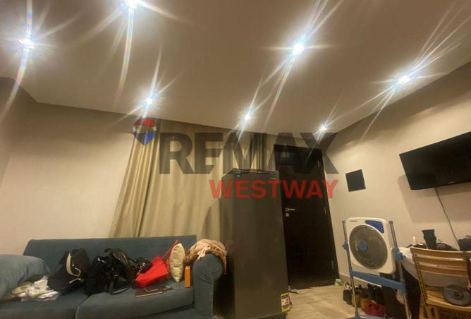 8415568 - Property Image 2