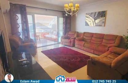 Apartment - 2 Bedrooms - 1 Bathroom for rent in Al Geish Road - Laurent - Hay Sharq - Alexandria