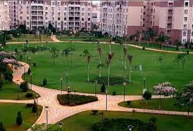 8310401 - الصورة الرئيسية للعقار