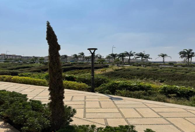 7987685 - صورة العقار 3