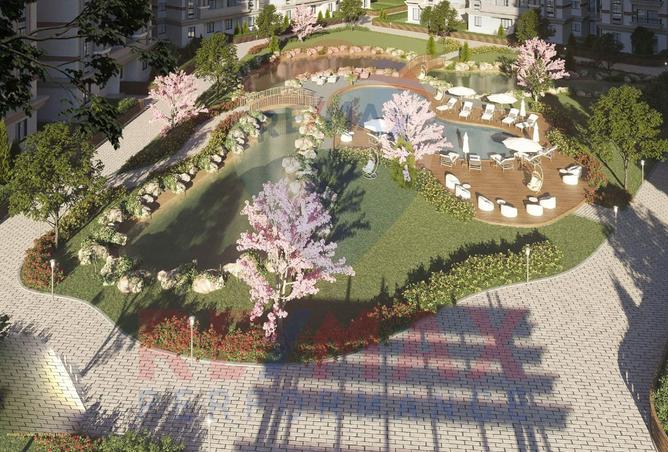 8182399 - Property Image 3