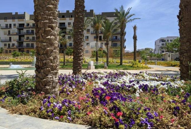 8402513 - صورة العقار 3