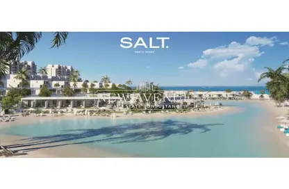 Villa - 3 Bedrooms - 4 Bathrooms for sale in Salt - Ras Al Hekma - North Coast