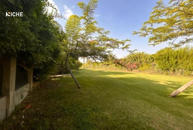 8244821 - Property Image 3