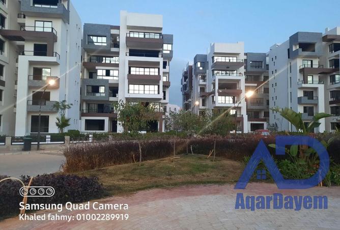 8167958 - Property Image 3