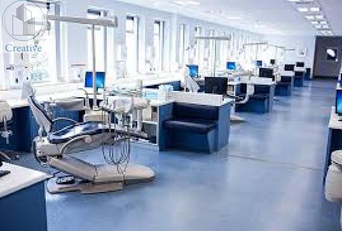 8377456 - Property Image 3