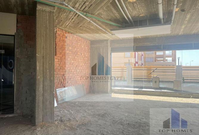 8093181 - Property Image 3