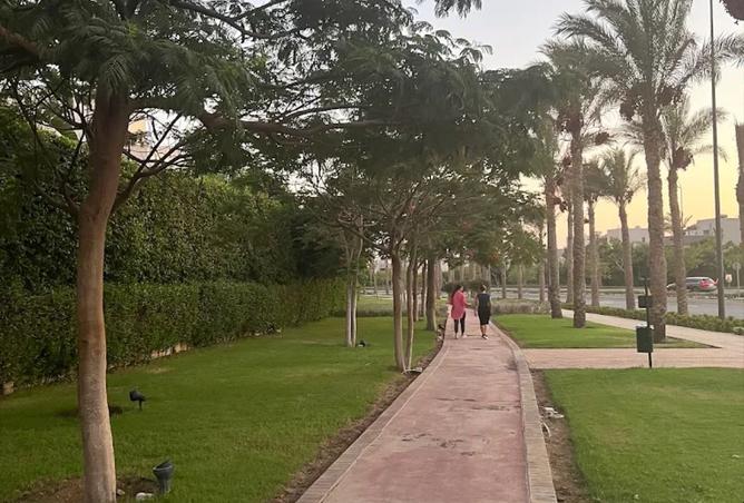 7932767 - صورة العقار 3