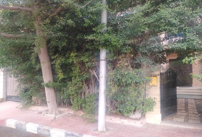 8145024 - Property Image 3