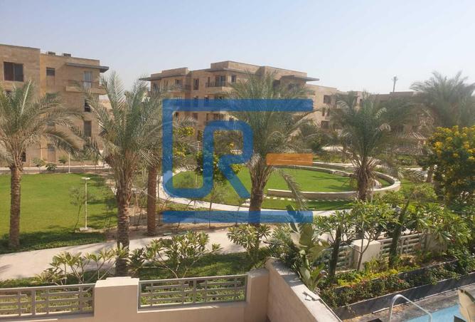 8002970 - صورة العقار 2