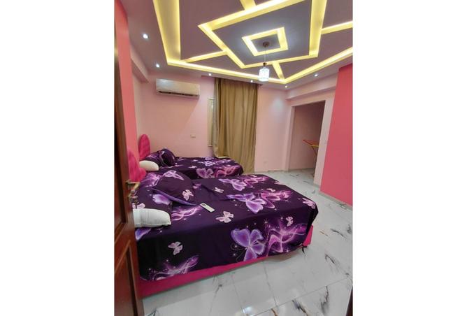 7984798 - Property Image 3