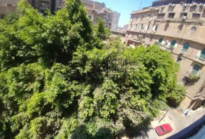8130899 - Property Image 3