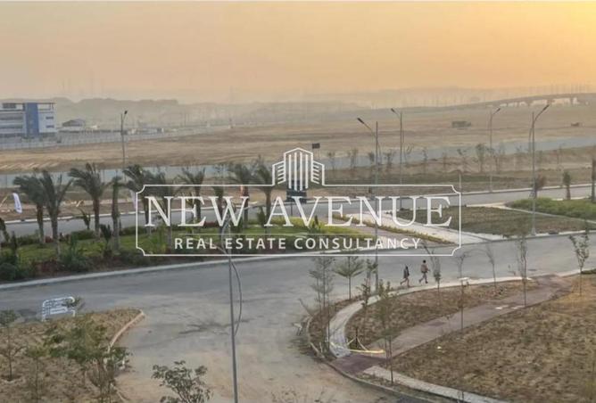 8419837 - Property Image 3