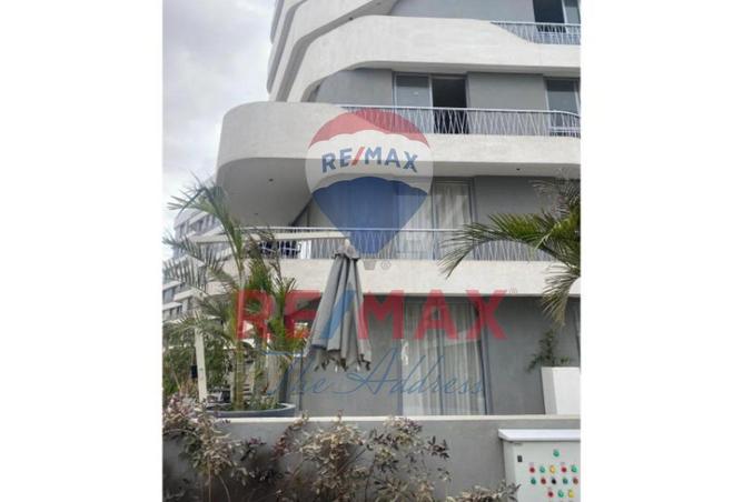 8166374 - صورة العقار 3