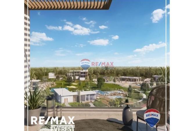 8446627 - Property Image 3