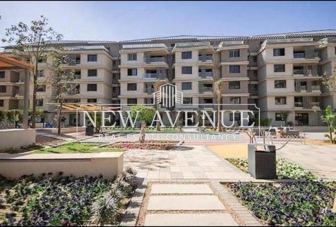 8215668 - Property Image 3