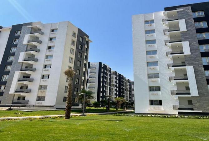 8003486 - Property Image 3
