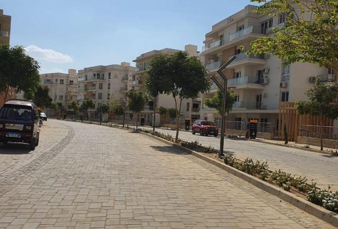 8095759 - صورة العقار 3