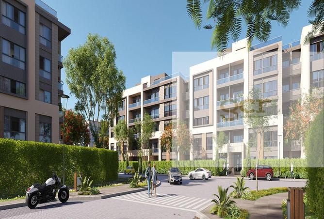 8058533 - Property Image 3
