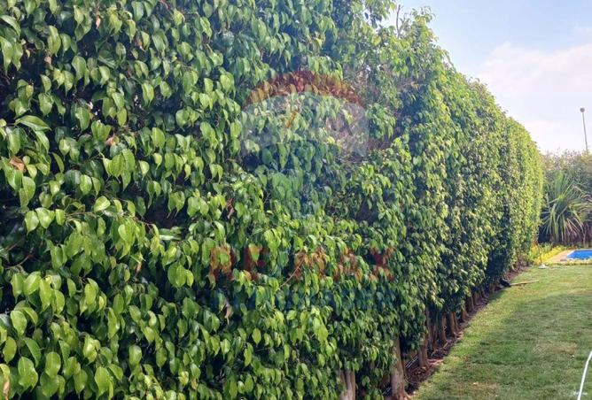 8238969 - صورة العقار 3