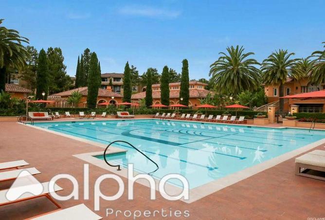 7984504 - Property Image 2