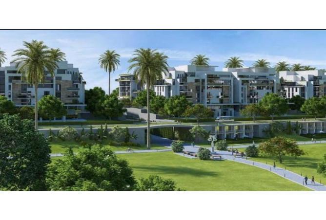 7935626 - صورة العقار 3