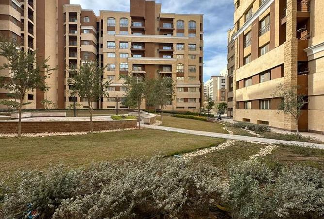 8534989 - Property Image 3