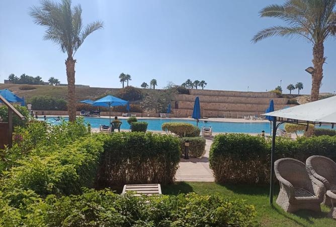 8335203 - Property Image 2